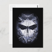 Fungus Moths in Twighlight Briefkaart (Voorkant / Achterkant)