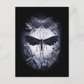 Fungus Moths in Twighlight Briefkaart (Voorkant)