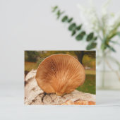 Fungus op berk ~ briefkaart (Staand voorkant)