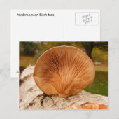 Fungus op berk ~ briefkaart (Voorkant / Achterkant)