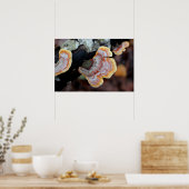 Fungus op een filiaal poster (Keuken)