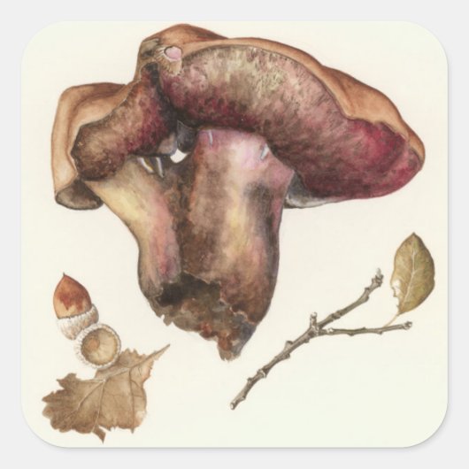 Fungus Vierkante Sticker (Voorkant)