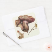 Fungus Vierkante Sticker (Envelop)