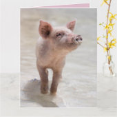 FUNKAARDE VARKENS VERJAARDAG KAART (Gele Bloem)