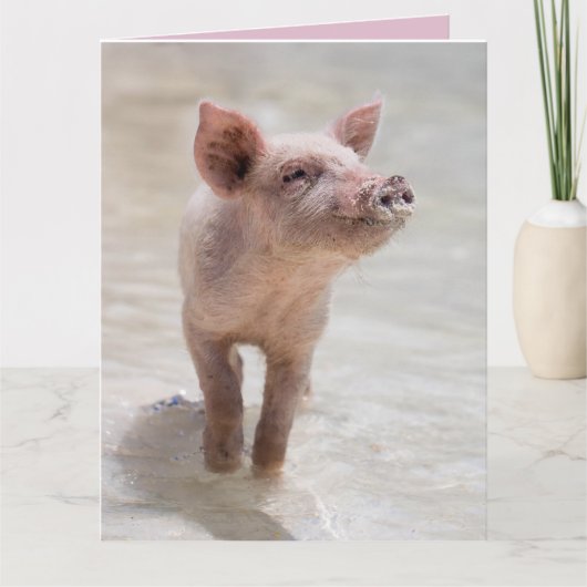 FUNKAARDE VARKENS VERJAARDAG KAART (Voorkant)