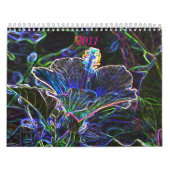 Funky 2011-kalender kalender (Hoes)