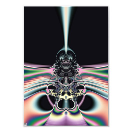 Funky Bird Foto Afdruk (Voorkant)