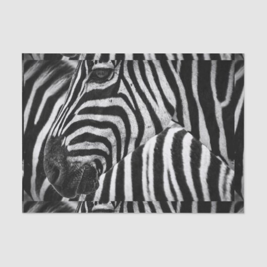 Funky Black en White Zebra Tissuepapier (Voorkant)
