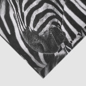 Funky Black en White Zebra Tissuepapier (Detail)