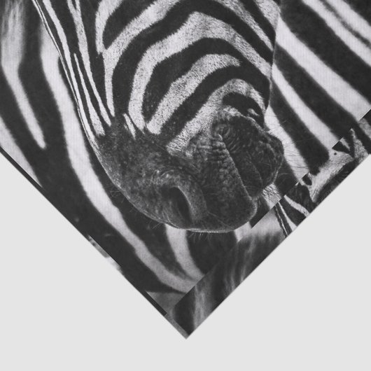 Funky Black en White Zebra Tissuepapier (Detail)