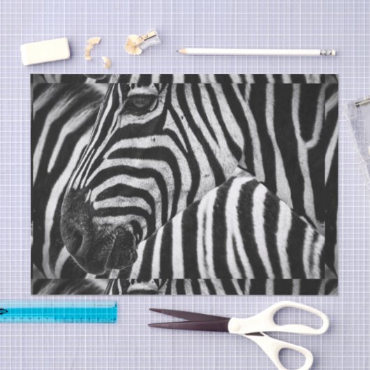 Funky Black en White Zebra Tissuepapier (Craft)