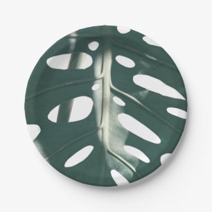 Funky Bleek Green Swiss Cheese Plant Papieren Bordje