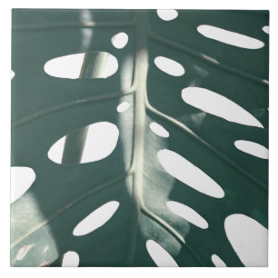 Funky Bleek Green Swiss Cheese Plant Tegeltje