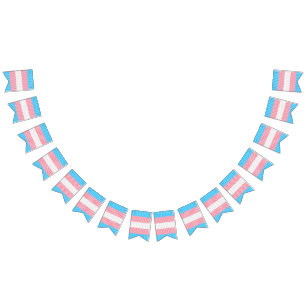 Funky Boho Streep Abstracte Transgender Pride Flag Vlaggetjes