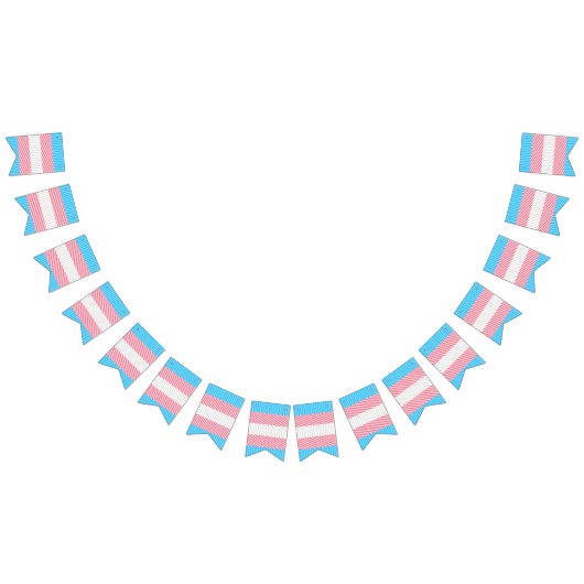 Funky Boho Streep Abstracte Transgender Pride Flag Vlaggetjes (Alle)