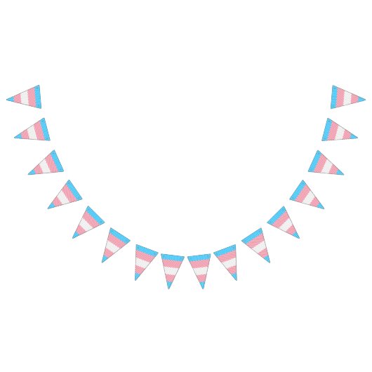 Funky Boho Streep Abstracte Transgender Pride Flag Vlaggetjes (Alle)