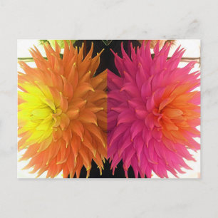 Funky Bright Oranje & Roze verrijkte bloemen Briefkaart