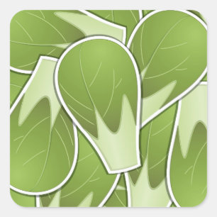 Funky brussel sprot vierkante sticker