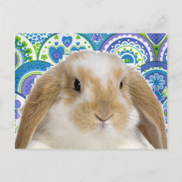 Funky Bunny Briefkaart