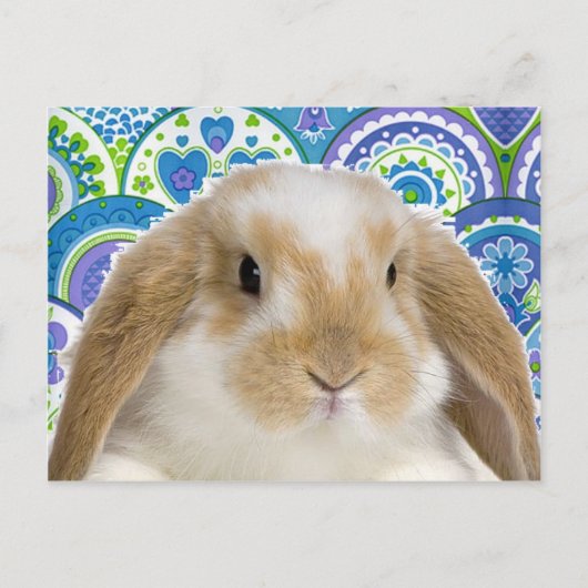Funky Bunny Briefkaart (Voorkant)