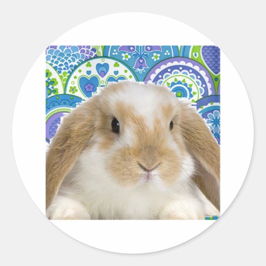 Funky Bunny Ronde Sticker (Voorkant)