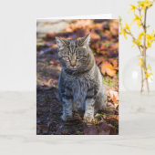 Funky Cat Gevouwen Wenskaart Kaart (Gele Bloem)