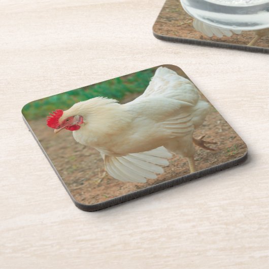 Funky Chicken Hen Hy-Line Silver Brown Bier Onderzetter (Linkerzijde)