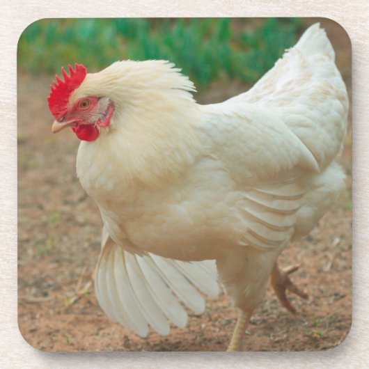 Funky Chicken Hen Hy-Line Silver Brown Bier Onderzetter (Voorkant)