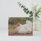 Funky Chicken Hen Hy-Line Silver Brown Briefkaart (Staand voorkant)