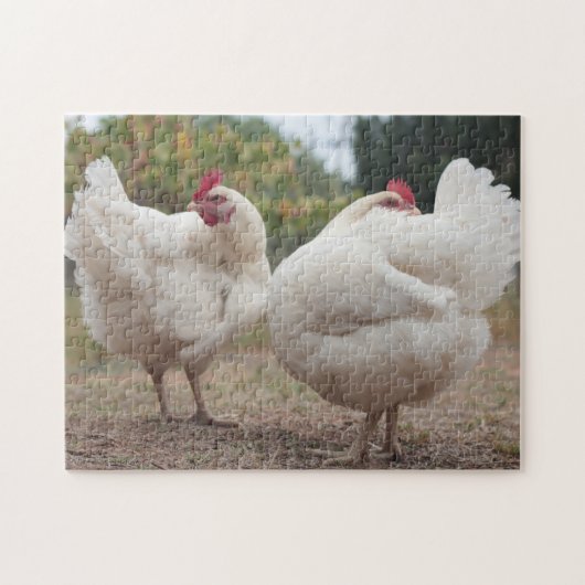 Funky Chicken Hen Hy-Line Silver Brown Legpuzzel (Horizontaal)