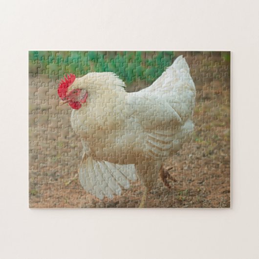 Funky Chicken Hen Hy-Line Silver Brown Legpuzzel (Horizontaal)