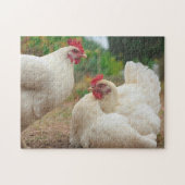 Funky Chicken Hen Hy-Line Silver Brown Legpuzzel (Horizontaal)