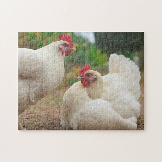 Funky Chicken Hen Hy-Line Silver Brown Legpuzzel (Horizontaal)