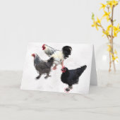 Funky Chickens Kaart (Gele Bloem)
