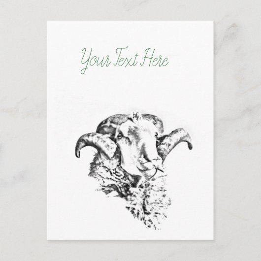 Funky Cute Schaap Ram Briefkaart (Voorkant)