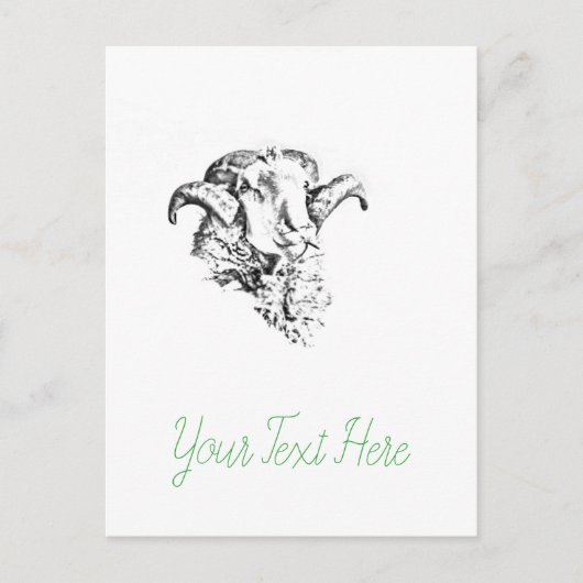 Funky Cute Schaap Ram Briefkaart (Voorkant)
