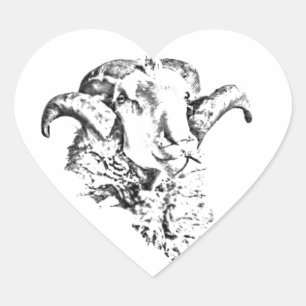 Funky Cute Schaap Ram Hart Sticker