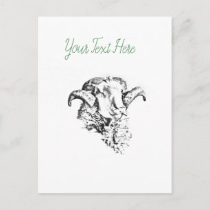 Funky Cute Sheep Ram Briefkaart