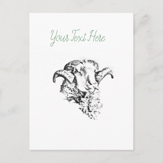 Funky Cute Sheep Ram Briefkaart (Voorkant)