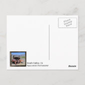 Funky Death Valley Briefkaart! Briefkaart (Achterkant)