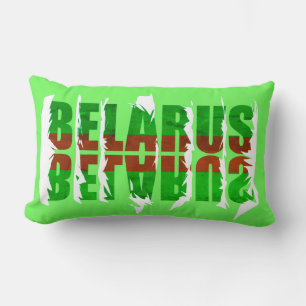 Funky Flag Colors Belarus Б р у е с kussen Pillow
