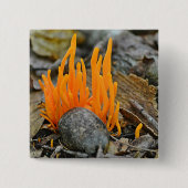 Funky Fungi Button (Voorkant)