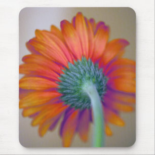 Funky Gerbera Muismat