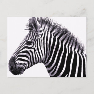 Funky Gestreept Briefkaart