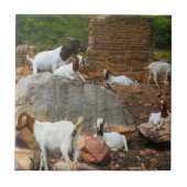 Funky Goats Ginger White Standing Walking Tegeltje (Voorkant)