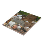 Funky Goats Ginger White Standing Walking Tegeltje (Zijkant)