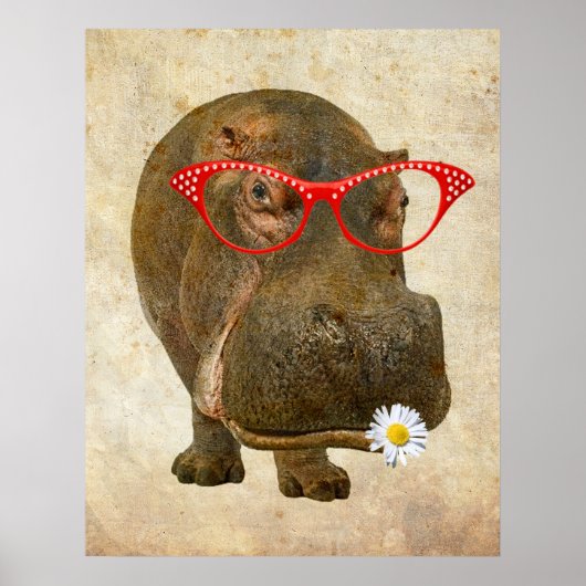 Funky Hippopotamus Poster! Poster (Voorkant)