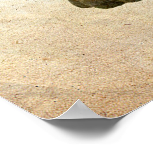 Funky Hippopotamus Poster! Poster (Hoek)