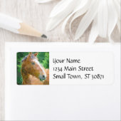 Funky Horse Circles blaast moderne kunst Etiket (Insitu)