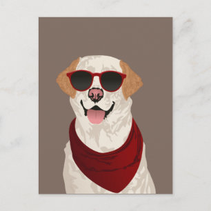 Funky Labrador Retriever voor Hondenliefhebbers Briefkaart